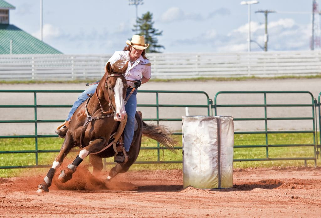 I Macaé Horse Fest será promovido de 21 a 23 de abril