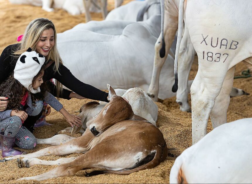 Expo Macaé 2026: programação, shows e todos os detalhes