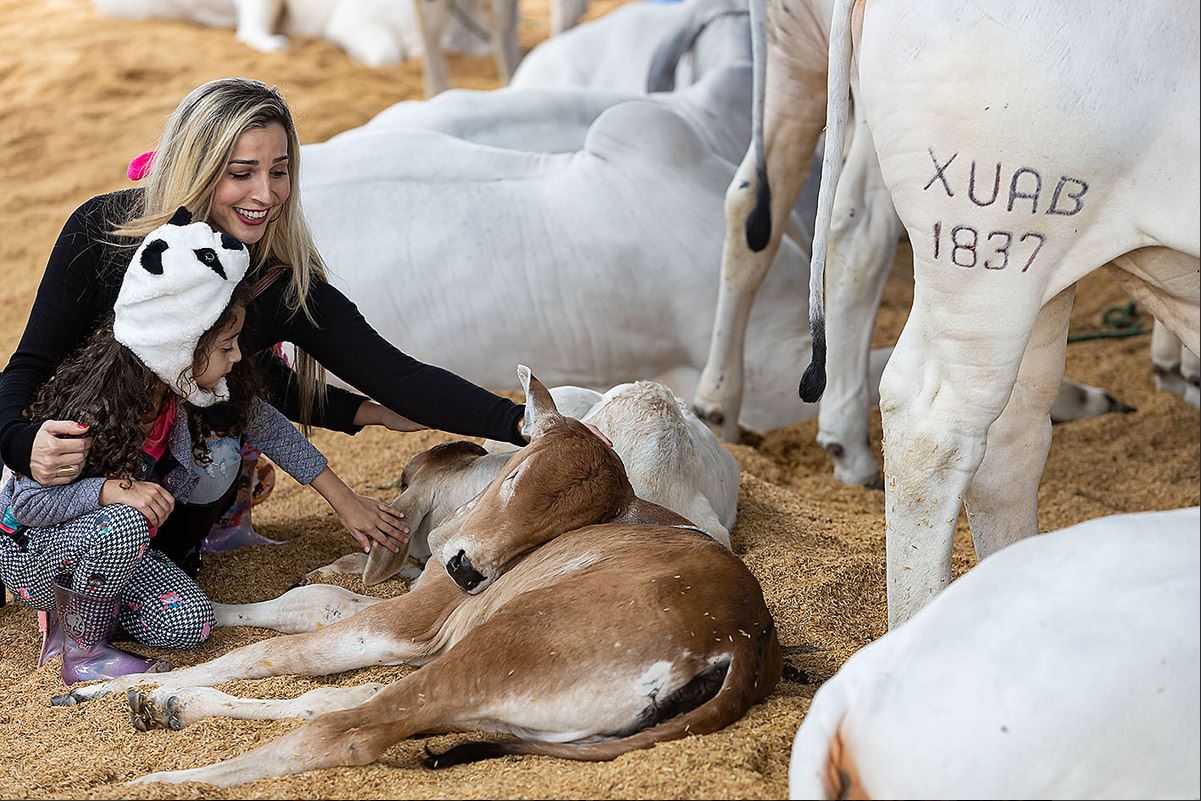 Expo Macaé 2026: programação, shows e todos os detalhes
