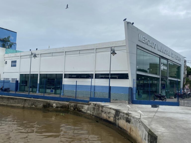 422282469 25043636128553295 2353166101705783459 n 1 768x576