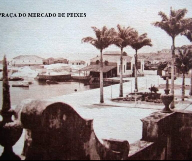 RACA DO MERCADO DE PEIXE 768x644