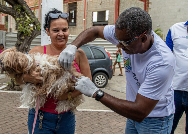 Prefeitura Lança Pré-Campanha de Vacinação Antirrábica para Cães e Gatos em Macaé