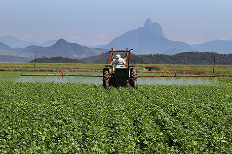 Macaé apresenta potencial agroambiental no RIO+AGRO 2025
