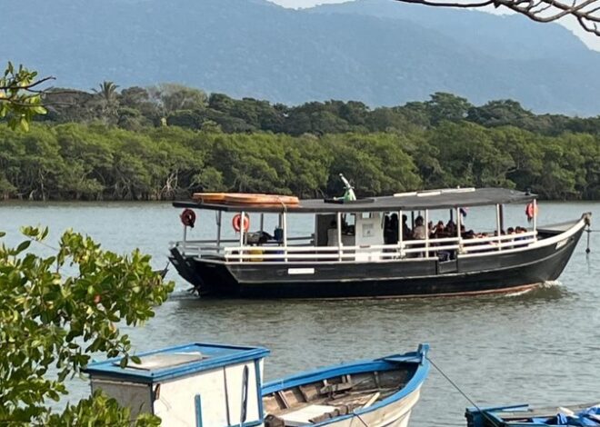 Um passeio diferente pertinho de Macaé: barco gratuito pelo Rio São João