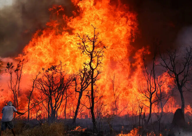 Macaé lança campanha contra queimadas e reforça ações de prevenção a incêndios