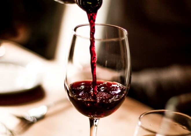 Festival de Vinhos em Macaé terá mais de 70 rótulos para degustação livre
